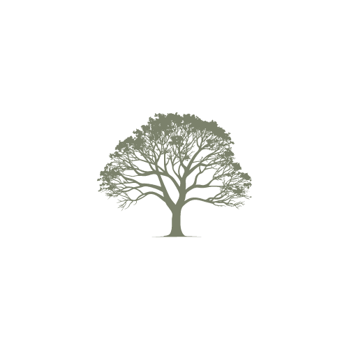 Maple Tree Enterprises logo